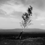 Avalanche Rodolphe Burger