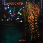 NIGHT CRICKETS HOW IT ENDS ? (EDITION LIMITEE VINYLE COULEUR)