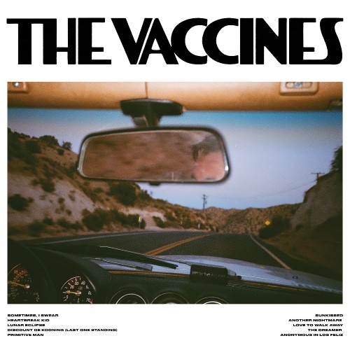 VACCINES - PICK-UP FULL OF PINK CARNATIONS
