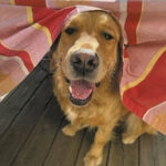 IT IT ANITA - MOUCHE