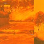 OFFLINE - LES CIGALES & EN CLAIR OBSCUR - VINYLE