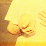 STUFFED FOXES - STANDARDIZED - LP