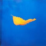 NEW ORDER - TRUE FAITH