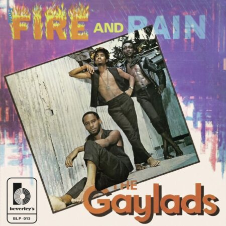 the-gaylads-fire-and-rain-vinyle