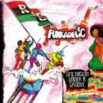 FUNKADELIC - ONE NATION UNDER A GROOVE (180 GR VINYL DELUXE EDITION LP + 12 ) - LP