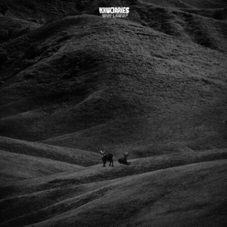 KNXWLEDGE, ANDERSON PAAK, NXWORRIES - WHY LAWD? - LP