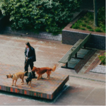 SAINT DX - WAY BACK HOME