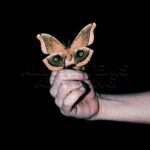 SOULWAX - ALL SYSTEMS ARE LYING