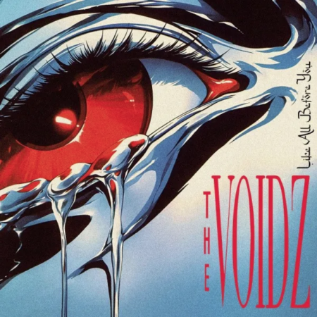 VOIDZ, THE - LIKE ALL BEFORE YOU
