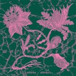 CITRON CITRON - MAREETERNELLE