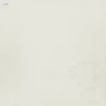 FATHER JOHN MISTY - WHITE LABEL -