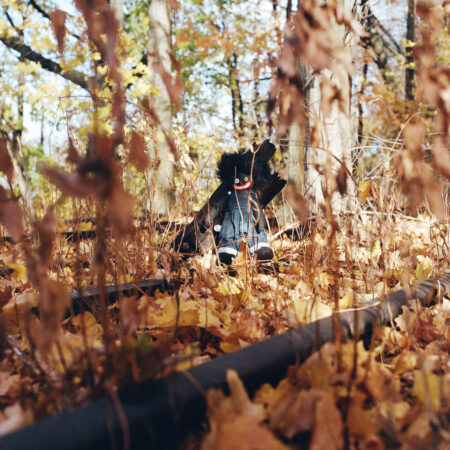 BILLY WOODS - GOLLIWOG - LP