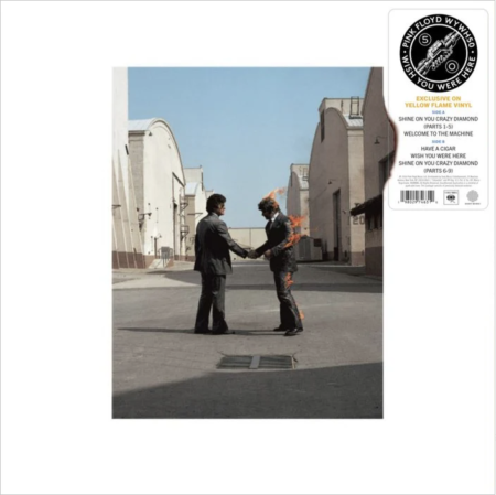 PINK FLOYD - WISH YOU WERE