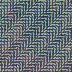 Merriweather Post Pavilion (15th Anniversary Deluxe Edition)