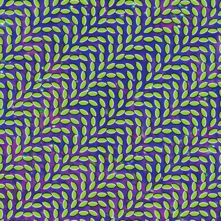 Merriweather Post Pavilion (15th Anniversary Deluxe Edition)