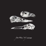 Sorti en même temps que I Will Swim to You : A Tribute to Jason Molina, ce 45 tours en édition limitée comprend la contribution de MJ Lenderman à la compilation (une reprise de “Just Be Simple” de Songs: Ohia) ainsi qu'une rareté issue des archives de Jason Molina. Cette version démo de “The Last Three Human Words” dure à peine plus de 5 minutes, mais capture parfaitement l'intimité de l'ensemble du répertoire de Jason. La reprise de “Just Be Simple” par MJ Lenderman insuffle une nouvelle urgence à la chanson, mêlant les confessions country du chanteur aux bourrasques énergiques de son groupe. Son accent traînant si particulier de la Caroline du Nord vibre d'une conviction poétique, réinventant l'original de Molina avec respect et intensité. Cette reprise révèle la profondeur émotionnelle des deux artistes, donnant le ton à un projet empreint d'hommage et de transformation.