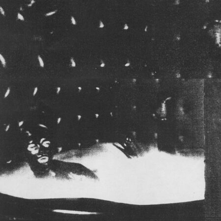 Sur Malenkost, Flegel combine tout ce qui rend Cindy Lee si essentielle : des supplications romantiques déchirantes, des éclats de bruit brutaux et des ballades crépusculaires. Avec le single pop lo-fi « A Message From The Aching Sky », Malenkost sonne comme Deerhunter jouant The Supremes ou vice versa.