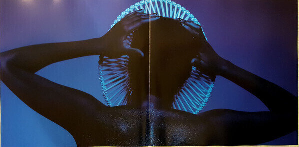 Childish Gambino - Awaken, My Love! - LP – Image 4