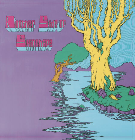 Another Side Of Skinshape par Skinshape