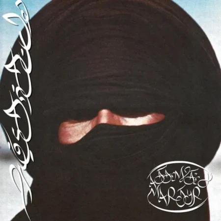 Originaire de Dearborn, Michigan, Prostitute s'impose comme l'un des nouveaux groupes les plus radicaux et provocateurs de la scène américaine avec la sortie mondiale de son premier album Attempted Martyr, disponible via Mute.