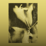 Après plus de dix ans d’indisponibilité, nous présentons la réédition vinyle tant attendue pour les 20 ans du premier album culte de Flying Lotus — un disque qui a défini la scène beat émergente de Los Angeles et consacré Flying Lotus comme figure emblématique. Cette édition RSD comprend un son remasterisé par Daddy Kev, une pochette entièrement repensée avec finition métallisée embossée et un vinyle coloré exclusif. La version digitale sortira le vendredi 17 avril pour accompagner la sortie RSD.