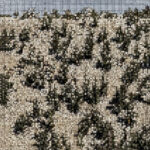 GREGORY UHLMANN - EXTRA STARS (ED. LIMITEE VINYLE COULEUR) - LP