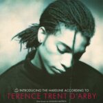 SANANDA MAITREYA - Introducing the Hardline According to Terence Trent D'Arby - LP
