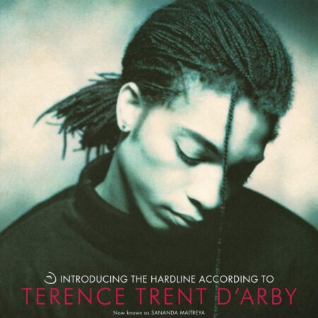 SANANDA MAITREYA - Introducing the Hardline According to Terence Trent D'Arby - LP