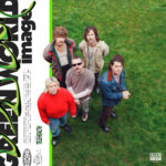 Telehealth - Green World Image - Vinyle Transparent - LP