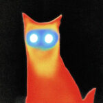 Basement - Wired - LP