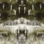 Nick Wheeldon - Tadpoles