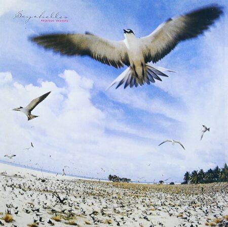 Masayoshi Takanaka - Seychelles