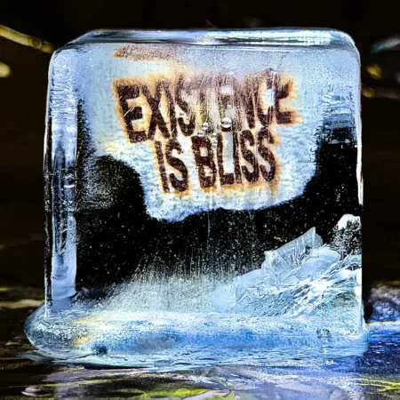 Existence is Bliss est le deuxième album du groupe post-punk londonien Deadletter, composé de six membres. Il fait suite à leur premier album, Hysterical Strength, sorti en 2024 et acclamé par la critique.