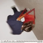 S. Fidelity - I Guess I’ll Never Learn - LP