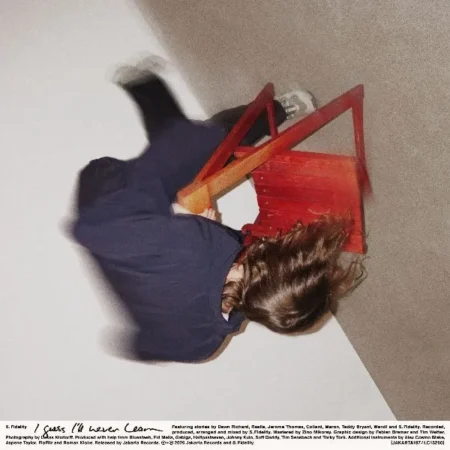 S. Fidelity - I Guess I’ll Never Learn - LP