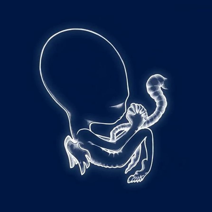 SIGUR ROS - ÁGÆTIS BYRJUN - LP