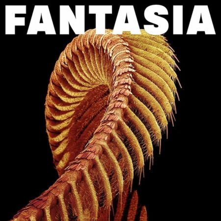 SLIFT - Fantasia (Exlu Inde Vinyle Orange)