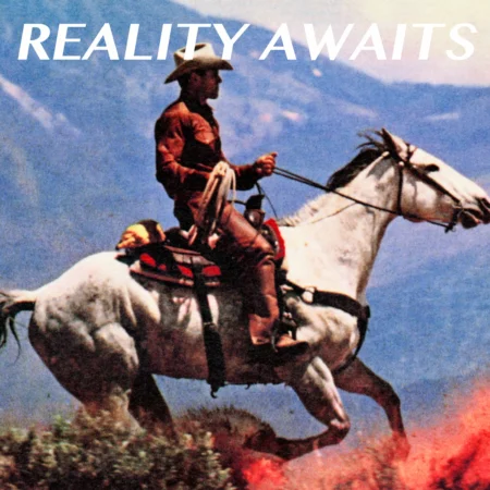 STROKES - REALITY AWAITS - LP