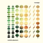 RIZOMAGIC - CUMBION PLANETARIO