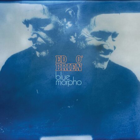 Ed O Brien - Blue Morpho