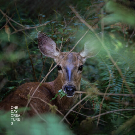 ONE DAY CREATURES - S/T - LP
