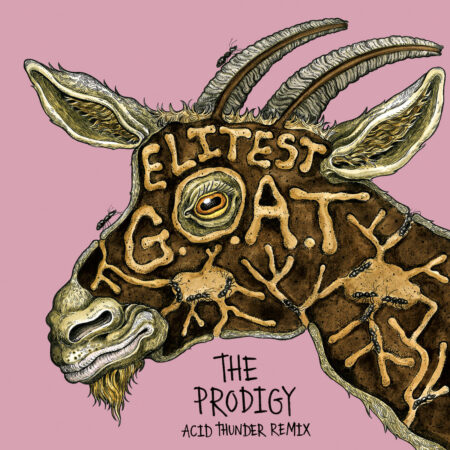 SORTIE LE 03.07.2026 Avec ses rythmes percutants et ses synthés saturés, The Prodigy place la barre encore plus haut avec son Acid Thunder Mix, fusionnant avec brio leur esprit pionnier et l'énergie novatrice de Sleaford Mods. 45 TOURS EDITION LIMITEE VINYLE COULEUR "GOLD"