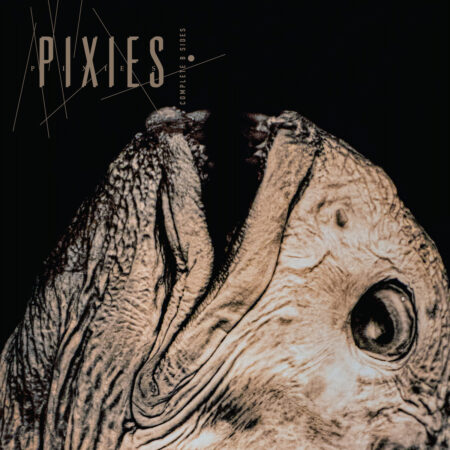 PIXIES - COMPLETE B SIDES: 1988-97