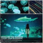 SORTIE LE 31.07.2026 Count Your Blessings est le premier album du groupe de metal britannique Bring Me the Horizon, sorti à l’origine en 2006. Cette nouvelle édition est la première à être pressée en Europe depuis dix ans.