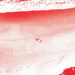 Feldup - Towards happiness