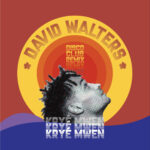 Sun-drenched groove of the Caribbean meets the sensual pulse of Detroit house: “Kryé Mwen”, the standout hit by David Walters produced by Patchworks, finally available on 12" with a brand new Disco Club remix by David Walters